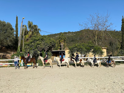 ESCUELA DE EQUITACIÓN OSO PONY Y PONY CLUB SITGES