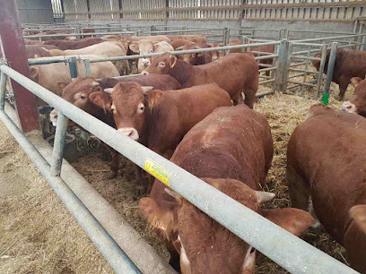Agro Trading Lleida 2018 S.L.