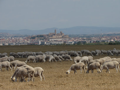 Tossalet d'Albatàrrec