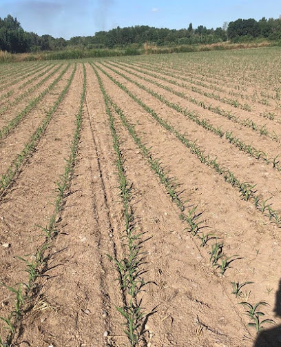 Agroserveis Cal Bonic