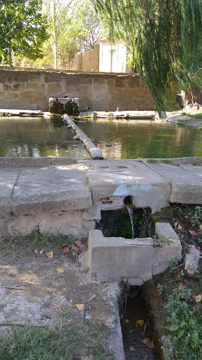 Fuente Publica