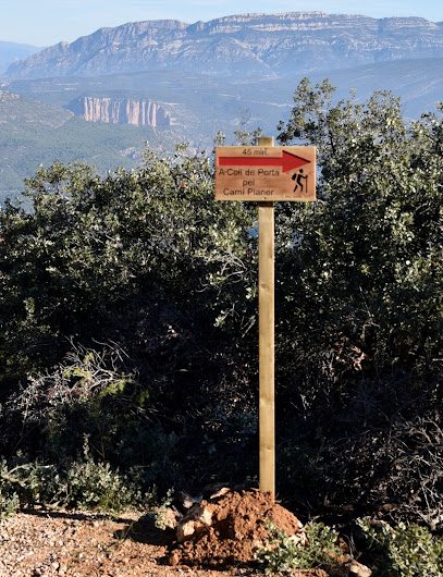 A coll de porta pel camí planer.
