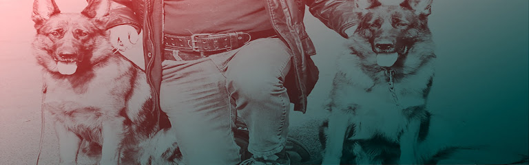 Criador pastor aleman