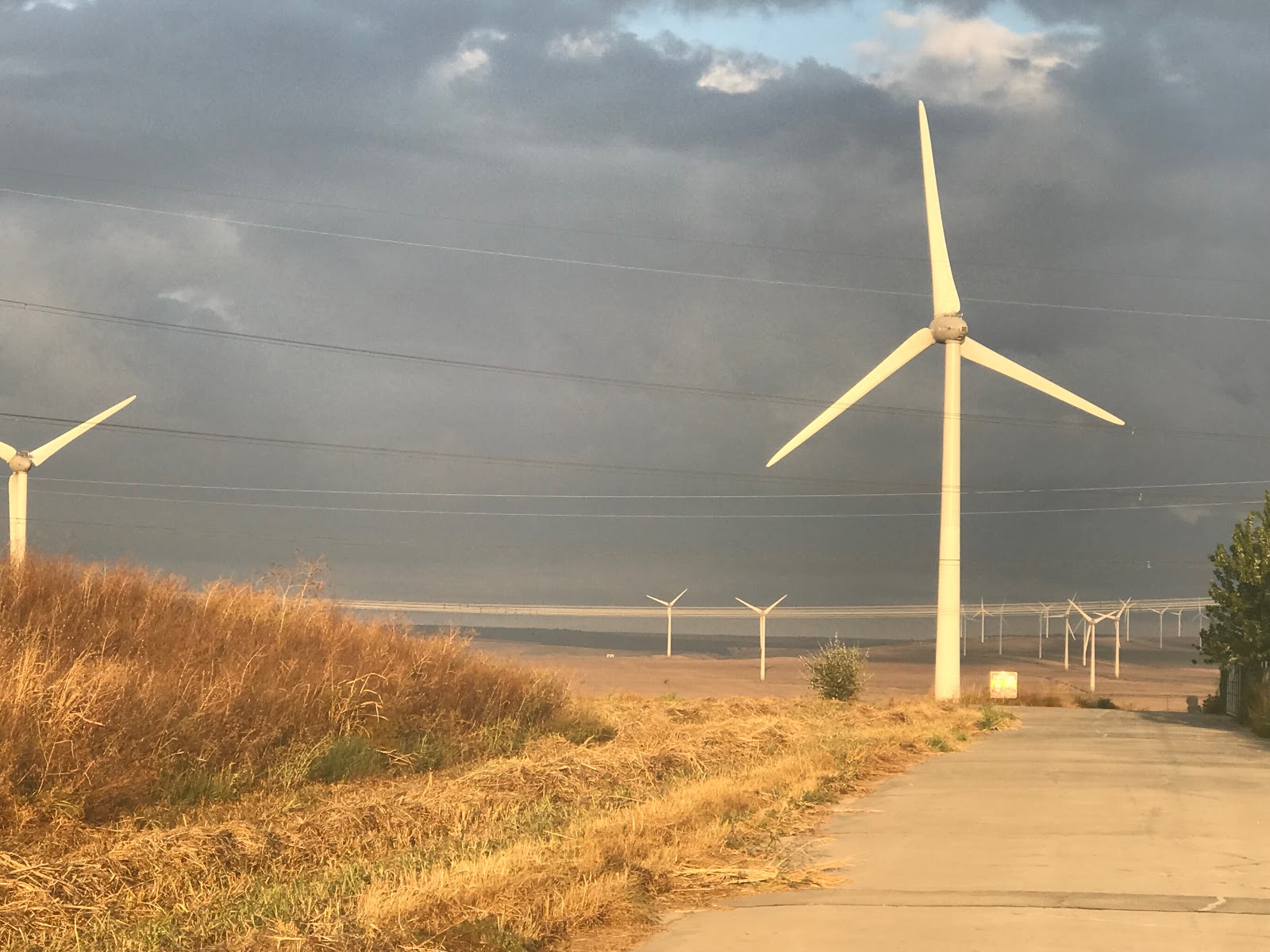 Iberdrola