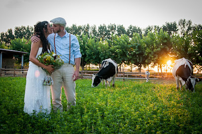 Josep Molina | LifeStories Photographer