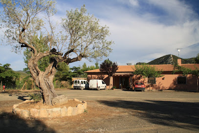 Camping Las Planas