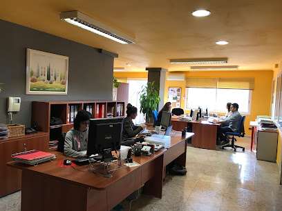 G3 Desenvolupament Territorial