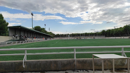 Campo de Rugby