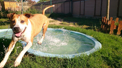 Residencia Canina Can Fauna
