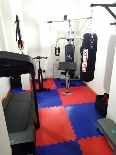 Tatami Olimpic Riu