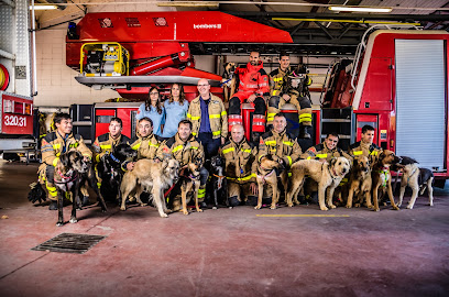 Protectora Amics dels Animals del Segrià