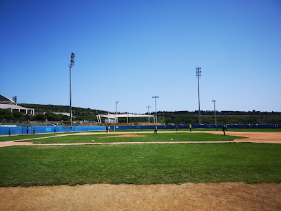 Campo Municipal de Béisbol Carlos Pérez de Rozas