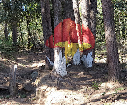 setas pintadas en los arboles 4
