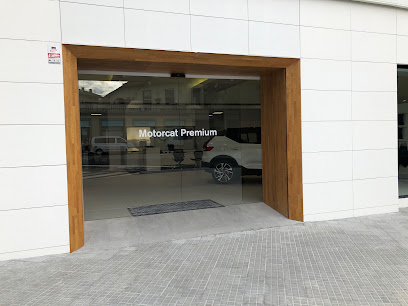 Motorcat Premium