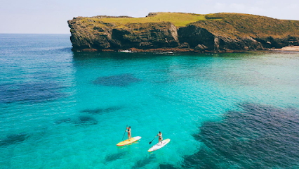 Escuela Asturiana de Surf (Llanes)