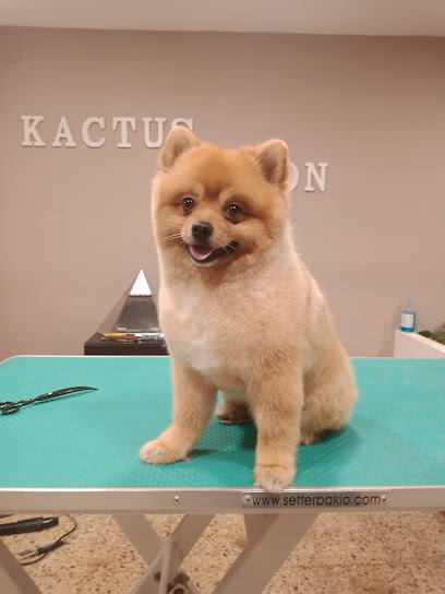 Peluqueria Canina Kactus Salon