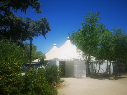 Escuela de Circo Carampa