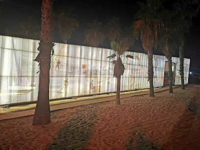 Escuela de Vela
