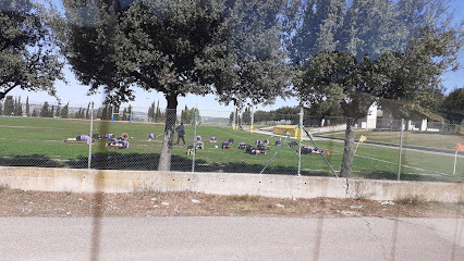 Camp de Rugby INEFC Lleida