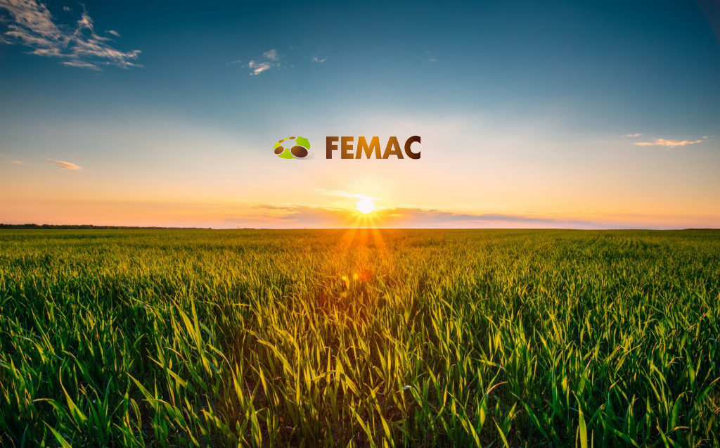 FEMAC