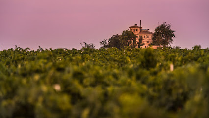 Castell de Raymat