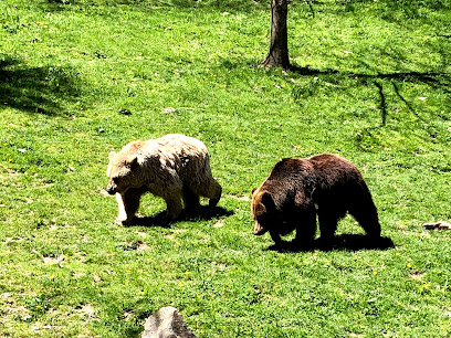 Molló Parc | Parc d'animals