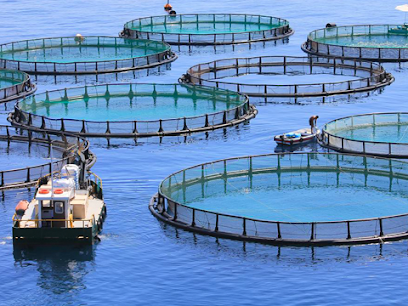 Suministros Pesqueros y Acuicolas SL