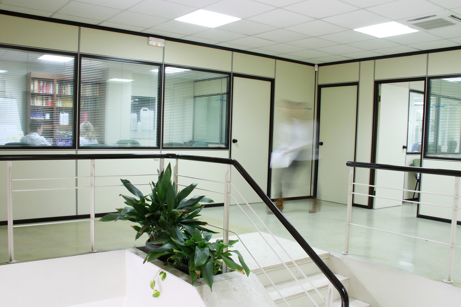 Laboratorios LAMONS, S.A.