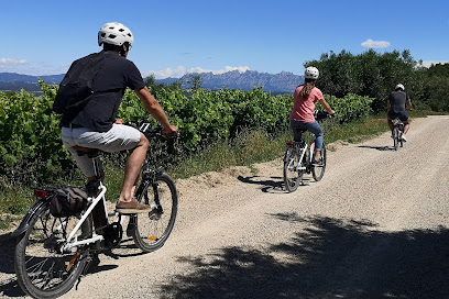 Bikemotions: Bike Tours &amp; Bike Rentals