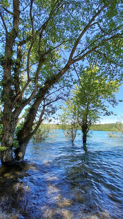Area Servicio Aire Libre