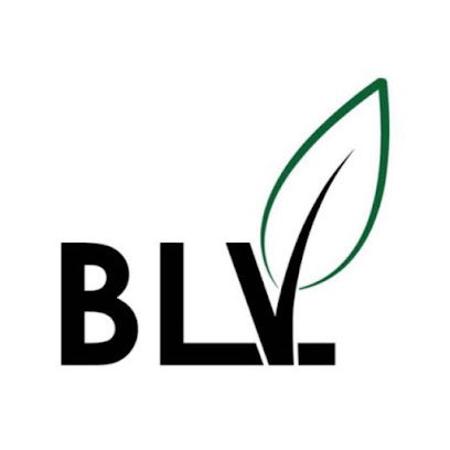 BLV Energy Solutions