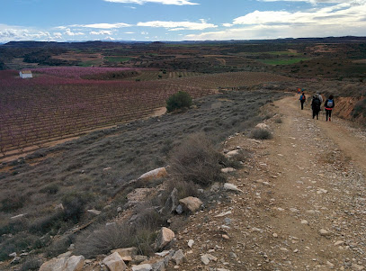 Barranc De Les Bales
