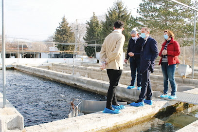 Piscifactoria Santa Ana