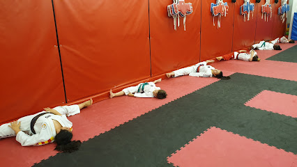 Escuela Esportiva Taekwondo Vila-seca