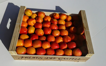 Fruits Queralt S.L.