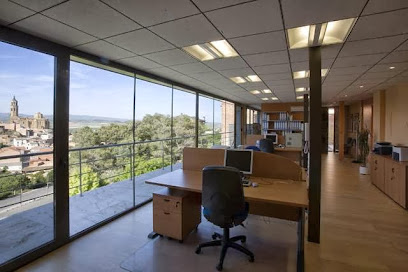 Consultoria Informatica de l'Empresa S.C.P.