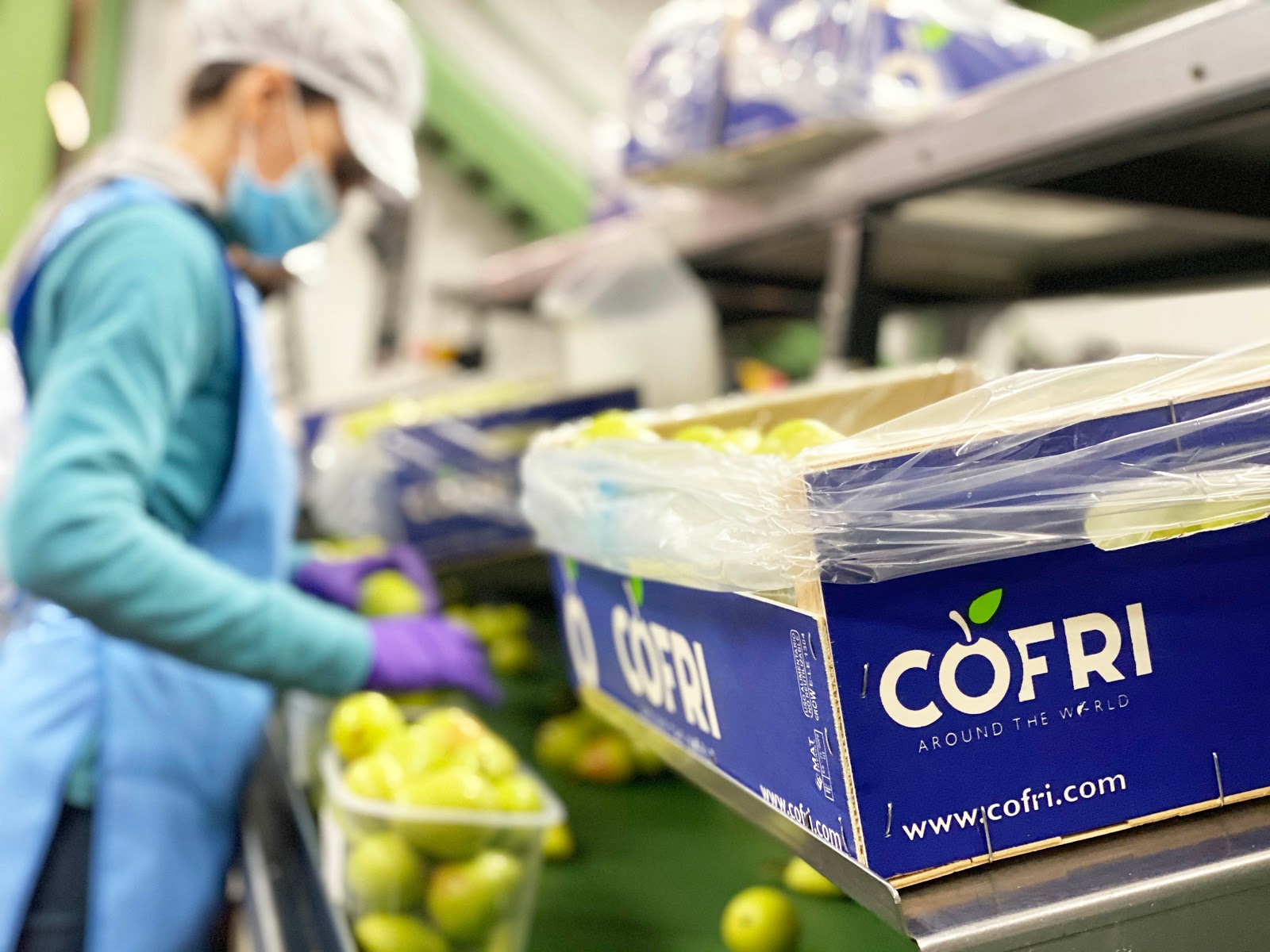 COFRI Comercial Frutera Ilerdense, S. A.