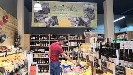 L'hort de Ca la Cistellera