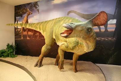 Museu de la Conca Dellà