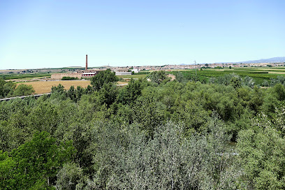 Placeta mirador