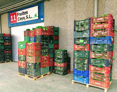 Universal Business Cayo Fruit S.L