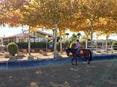 Hípica Champion Horse