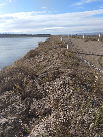 Embalse de Lasesa
