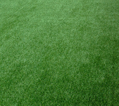 Jardinería Seguiment Cérdanya