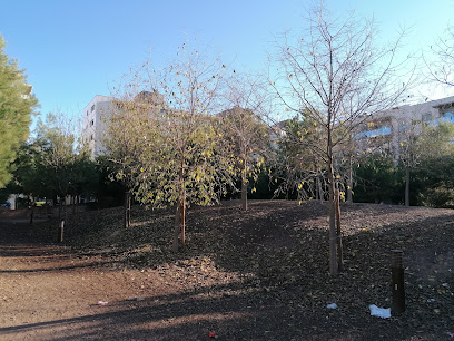 Bosque urbano