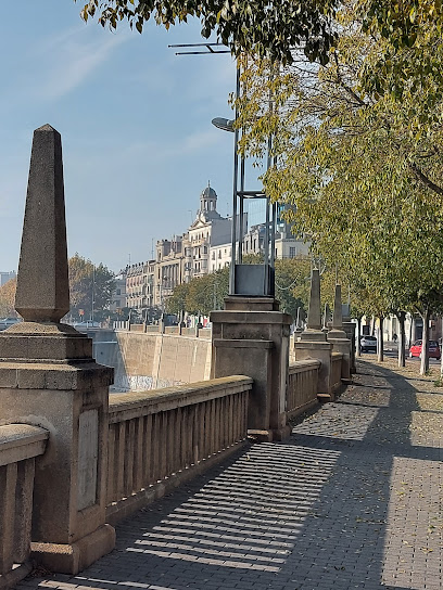 Avenida del Segre