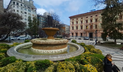Ministerio De Agricultura Pesca Y Alimentación