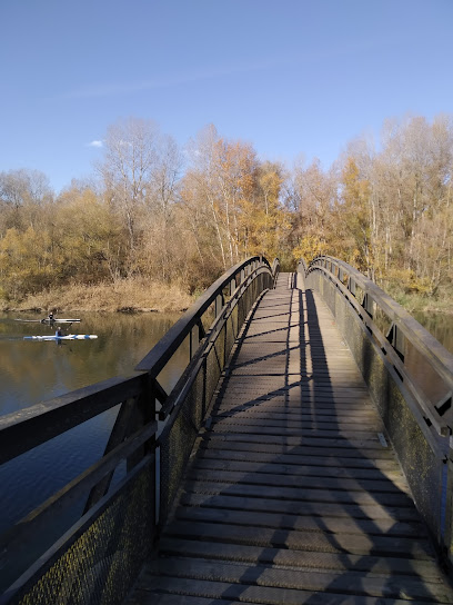 Puente de Hierro (La Mitjana)