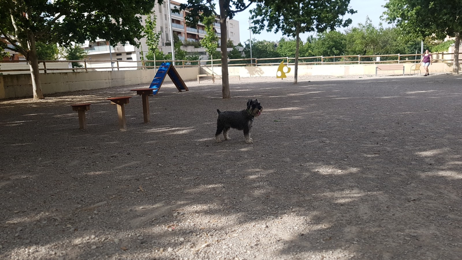 Enéresi Lleida