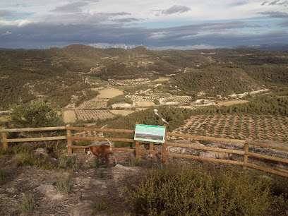 El Puig